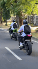 Two helmeted motorcyclists ride tree-lined street in Denpasar