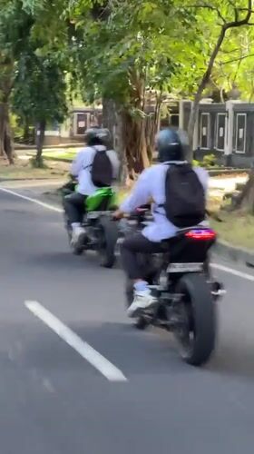 Two helmeted motorcyclists ride tree-lined street in Denpasar