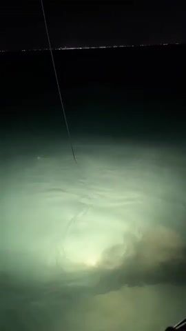 A fishing line descends into dark, luminous water illuminated by an underwater light. The line disappears beneath the surface, where subtle ripples indicate movement. In the background, a distant city skyline glows under a starless night sky, separated from the water by a dark horizon. The water appears calm and clear, with the light casting a soft, green glow on the sandy bottom.