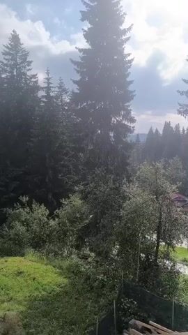 This is a still, slightly blurry video taken from a high vantage point looking down on a forest and a road. The sun is bright and hazy, with sunbeams visible through the trees. There are tall evergreen trees in the foreground and middle ground, with a mix of deciduous trees and a small building with a red roof in the distance. A road with a white bus and a few cars is visible on the right side of the frame. A dark-colored fence runs along the bottom of the frame. The overall impression is a peaceful, natural scene with some man-made elements.