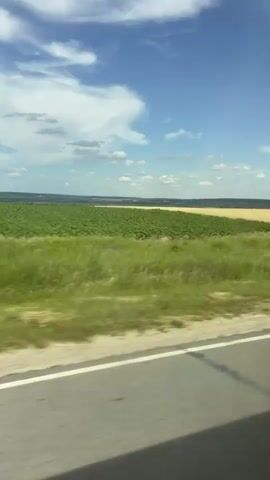 The media file depicts a scenic view of a rural landscape, likely taken from a moving vehicle. The scene is dominated by a vast, golden field, possibly of wheat or barley, stretching towards the horizon. Adjacent to it, a vibrant green field adds a striking contrast. The sky is a brilliant blue, dotted with fluffy white clouds, suggesting a pleasant, sunny day. The time of day appears to be midday or early afternoon, given the brightness of the sun and the shadows cast.

A grey asphalt road with a white dividing line runs along the foreground, indicating the perspective of someone traveling. The road has a shadow stretching across it, possibly from a tree or a structure, further emphasizing the movement and the time of day. In the distance, a line of trees and subtle undulations in the land suggest a rolling countryside. There are no people or specific objects clearly visible in the frame, allowing the viewer to focus on the natural beauty of the setting.

The overall impression is one of tranquility and the vastness of nature. The combination of the golden fields, green grass, and blue sky evokes a sense of peace and the simple beauty of agricultural landscapes. The location context, Ghindești, Moldova, situates this scene within a specific geographical region known for its agricultural land. No text is visible within the media file.