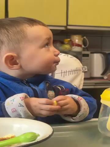 A toddler with light skin and brown hair wearing a blue zippered jacket sits in a high chair at a table, facing right. He has some food remnants around his mouth. A white plate with a green spoon rests on the table in front of him, and a water bottle with a yellow lid is on the right. The child looks at the camera, then takes a bite of a lemon slice. In the background is a kitchen counter with yellow cabinets and various kitchen items.