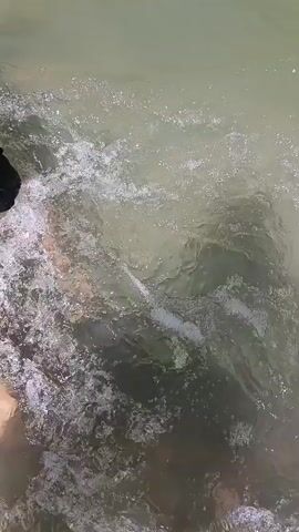 This is a vertical video that appears to be taken from a moving raft or boat on a river. The water is murky green and appears to be flowing. There are some splashes and ripples on the surface of the water. In the distance, there is a sandy bank with trees and foliage. The sky is blue with some white clouds.

The video is very short, with the timestamps indicating it lasts only a few seconds.

There are no people or objects clearly visible in the water. However, at the 00:04 mark, a person is seen running along the riverbank. The person is wearing dark shorts.

The location context provided is Goryachiy Klyuch, Russia, which suggests this is a natural environment with a river. The time of day appears to be daytime, judging by the lighting and the blue sky with clouds. The weather seems pleasant, as indicated by the clear sky and the activity of being on a river. There are no visible text elements in the video.