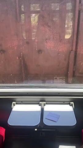 The video shows the view from a train window as another train passes by on an adjacent track. The train passing by is a freight train, and its cars are rusty and old. The words "MONTE CARGO" are visible on one of the cars. The inside of the train the video is being recorded from features a small white table attached to the wall. A piece of paper sits on one of the tables. The seats are red. The background shows glimpses of green trees and blue sky.
