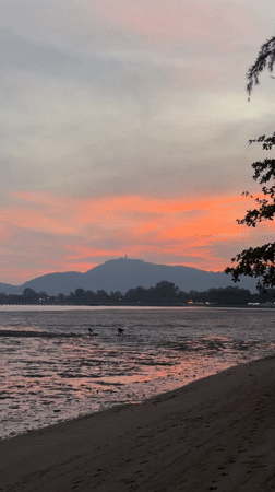 White heron spotted in Chalong waters amid boat traffic