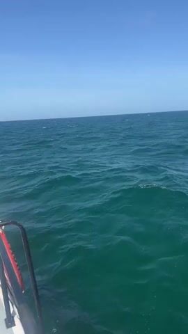 The video shows a boat sailing on choppy ocean water, under a clear blue sky. A glimpse of the boat's railing is visible on the left, suggesting the video is taken from another boat. The water is a deep turquoise color.