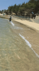 Night beach activity recorded at Mũi Né, Vietnam