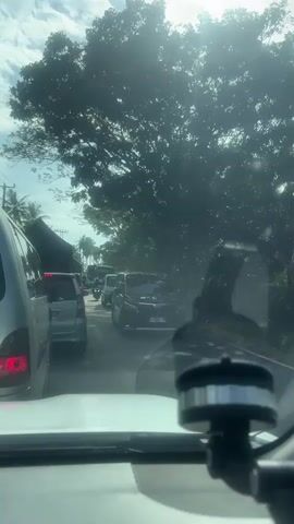 The video shows a traffic jam on a road lined with trees. Several vehicles are visible, including vans, cars, a truck, and a motorcycle. The sun is shining brightly, casting a glare on the scene. Some vehicles are moving slowly forward, while others appear to be stopped. The perspective is from inside a vehicle, looking out through the windshield.
