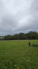 Afternoon at an outdoor fitness park in Elovo, Russia