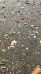 Polluted lake fishing and urban life documented in Da Lat