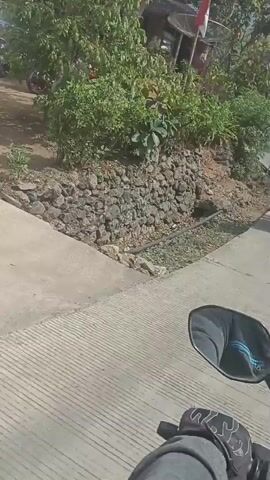 The video pans from a hillside with stone retaining walls and vegetation to a paved road. A motorcycle rider wearing a plaid shirt and helmet is seen in the foreground. Several other motorcycles are visible in the distance on the road, which appears to be on a slight incline and curves to the right. The scene is sunny with shadows suggesting it is daytime.