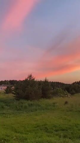 The video shows a scenic view of a grassy field with scattered trees against a vibrant pink and blue sunset sky. As the video progresses, the camera pans to the right, revealing a road with several parked trucks and utility poles. A parking sign is visible on one of the poles. The overall environment appears to be a rural or roadside setting during dusk.