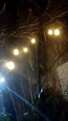 Nighttime outdoor lighting display captured in unknown location