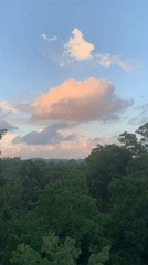 Tropical landscape documented over 47 minutes in Karandugoda, Sri Lanka