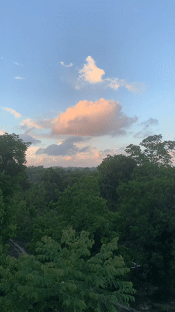 Tropical landscape documented over 47 minutes in Karandugoda, Sri Lanka