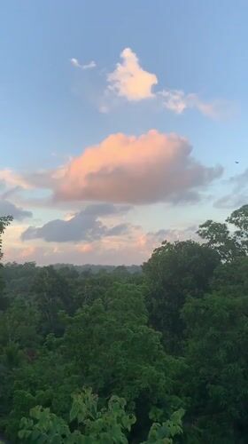 Tropical landscape documented over 47 minutes in Karandugoda, Sri Lanka