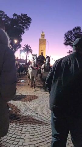 The video depicts a dusk scene in an urban setting with a tall minaret visible in the background. The sky is a blend of purple and orange hues, suggesting either sunset or sunrise. The foreground is composed of a cobblestone street bustling with pedestrians. A horse-drawn carriage, pulled by two grey horses, is moving forward, partially blocking the view of the minaret.  Several people, mostly silhouetted, are walking on the street. The closest individuals to the camera are two men. One is wearing a light-colored, hooded parka, while the other is in a dark jacket. The perspective is from slightly behind these individuals as they walk alongside the road. The overall impression is a vibrant, lively atmosphere set against the backdrop of a historical landmark at twilight.