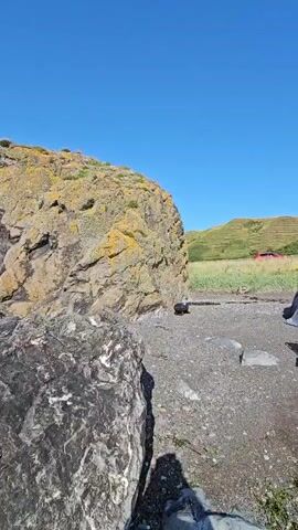 The video opens on a campsite set up on a rocky, pebbly shore under a clear blue sky. A gray tent is pitched next to a folding chair and a small white table. In the foreground, a large boulder, partly covered in yellow lichen, dominates the left side of the frame. Beyond the campsite, a green, grassy hillside rises, with some red structures visible in the distance. The camera then pans across the rocky shoreline, revealing more large rocks and the sea. Waves crash against the shore, and the sun glints off the water. The video ends with a view of the sea and the sky, with a large, dark rock formation in the foreground.