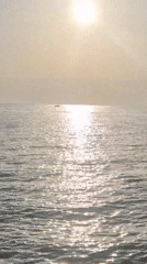 Sunset along Taranto's rocky coastline, sea and scrubland