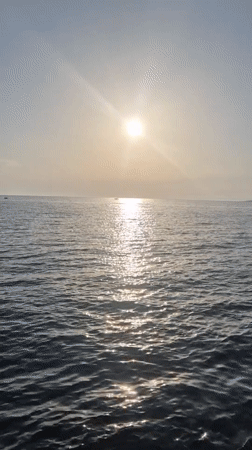 Sunset along Taranto's rocky coastline, sea and scrubland