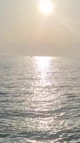 Sunset along Taranto's rocky coastline, sea and scrubland