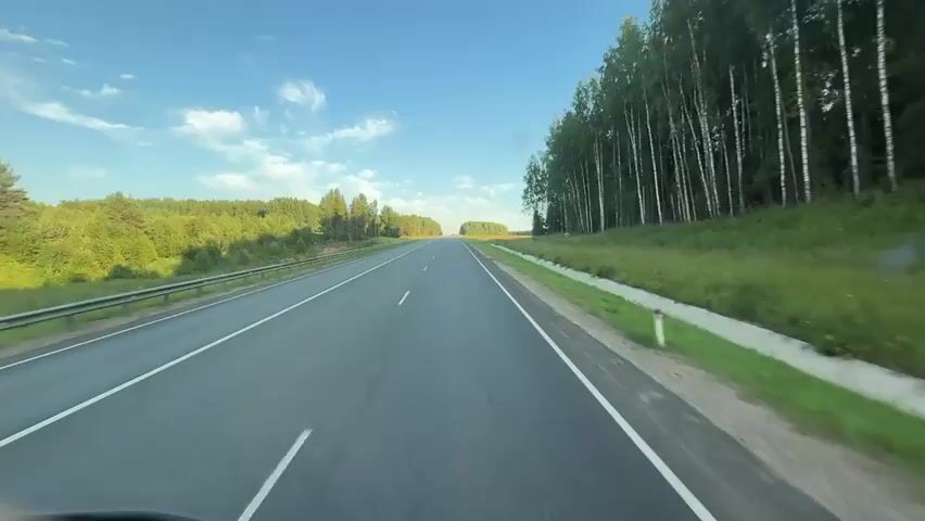 The video shows a first-person perspective of driving on a paved two-lane highway. The road is flanked by a guardrail on the left and a ditch and grass on the right. A dense forest of birch and other trees runs along the right side of the road, with a harvested field visible further out. The sky is blue with scattered white clouds. The road ahead is clear, with no other vehicles visible. The sun appears to be low in the sky, casting long shadows.