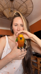 Woman bonds with colorful Sun Conure parrot in morning encounter