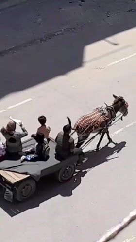 Daily life and displacement amid destruction in Khan Yunis