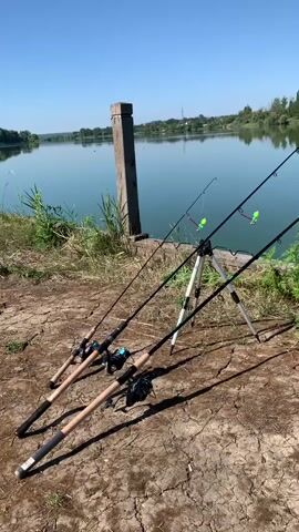 A sunny day at a lake with three fishing rods set up on a tripod and two rods resting on the ground. A wooden post stands near the water's edge. A yellow and blue bucket sits on the shore. The water is calm and reflects the blue sky and green trees lining the opposite bank. The ground is dry and cracked.
