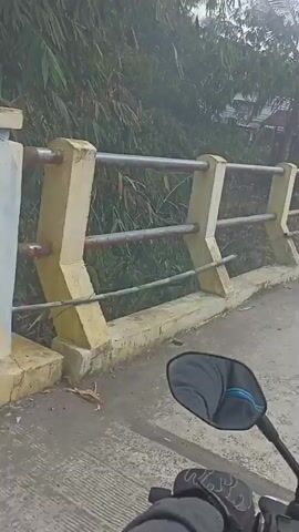 The video shows a view from a motorcycle traveling over a bridge. The motorcycle's right-side mirror is visible in the lower right corner of the frame. The bridge has concrete pillars with metal railings that appear to be red and silver. Beyond the bridge, there is lush green vegetation, including what looks like bamboo. In the distance, there is a structure that appears to be under construction. The weather seems overcast, and there might be light rain, as suggested by streaks in the footage. The overall impression is of a rural or natural setting.