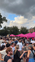 Pink-themed outdoor festival draws a crowd in Brooklyn