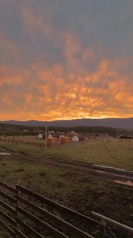The video shows a static view of a rural landscape under a vibrant sunset. In the foreground, a wooden fence runs along the bottom edge of the frame. Beyond the fence, a green field stretches out, marked with dirt tracks and muddy patches. Several small, dome-shaped buildings and rectangular structures are scattered across the field, possibly indicating a farm or small village. In the distance, a line of trees and hills forms a horizon against the sky. The sky is dominated by a dramatic sunset, with orange and peach-colored clouds filling the majority of the frame above a dark blue sky at the top of the frame. The light appears diffused and soft, emphasizing the vivid colors of the sunset.