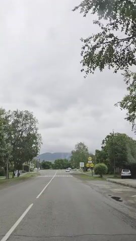 A vertical video shows a view from a car driving on a paved road under a cloudy sky. The road has white lane markings and a dashed white line in the center. On both sides of the road are trees, some with green leaves, and houses or buildings. There are also street signs, including pedestrian crossing signs and speed limit signs. In the distance, mountains are visible, partially obscured by clouds or fog. Several cars are on the road, and a few people are seen walking on the sidewalk. The overall impression is of a suburban or rural road on an overcast day.
