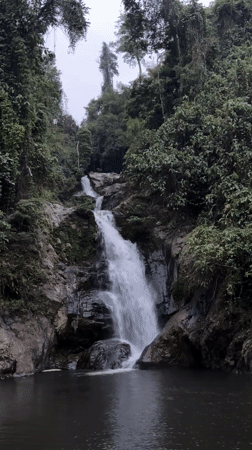 Waterfall and heart sculpture observed in Đà Nẵng forest