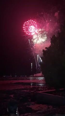 The video displays a nighttime scene of a fireworks display over a body of water. In the foreground, the edge of a dark, leafy tree is visible on the right side of the frame. The ground in front of the tree appears to be a dark, possibly rocky or sandy area, with some reflections on the wet surface. In the distance, across the water, there are faint lights, likely from boats or a shoreline. The main focus of the video is the fireworks exploding in the dark sky. The fireworks are large and colorful, with bursts of red, blue, pink, purple, and green light. Some fireworks have a circular, chrysanthemum-like pattern, while others appear as streaks or trails of light. Smoke from the explosions is also visible, creating hazy clouds in the sky. The reflections of the fireworks can be seen on the surface of the water, adding to the visual spectacle. The overall atmosphere is festive and celebratory.