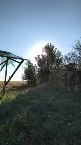 The video shows a bright, sunlit outdoor scene. In the foreground, there is green grass and dry vegetation. To the left, a simple structure with a sloping green tarp supported by wooden beams is partially visible. The sun is prominent in the upper center of the frame, its rays shining through the leaves of a large tree situated behind the grass. To the right of the tree, a rusty, cylindrical metal object, possibly a barrel or tank, stands partially obscured by vegetation. The background consists of a clear, light blue sky and a distant field. The lighting suggests it is either early morning or late afternoon. There are no people or animals visible in the frame.
