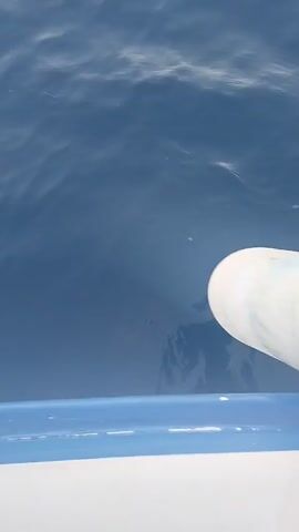This media file captures a view from a boat at sea, with the calm, blue ocean filling most of the frame. The horizon is visible in the distance, meeting a clear, pale sky, suggesting fair weather and likely early morning or late afternoon.

In the foreground, a portion of the boat is visible, featuring white and blue accents. A cylindrical object, possibly a fender, is resting on the boat's edge, partially submerged in the water. A rope is also visible, draped over the side of the boat.

The scene is tranquil and serene, evoking a sense of peace and vastness associated with being out at sea. The setting is the ocean near Calarreona, Spain. There is no discernible activity beyond the gentle movement of the boat on the water. No people are visible in the frame, and there is no visible text.