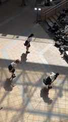 Morning life documented across Osaka through casual street scenes