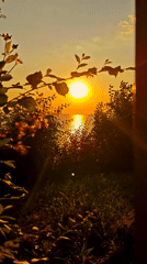 Golden hour on the Black Sea coast at Anapa's High Coast