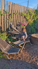 Child plays with dogs, bird sculpture in Russian backyard