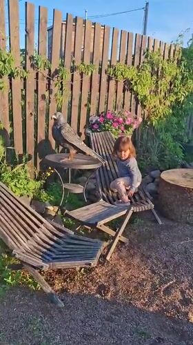 Child plays with dogs, bird sculpture in Russian backyard