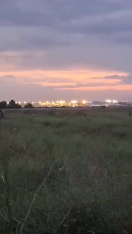 The video shows a wide shot of a grassy field with a hazy sky in the background. The sky has soft hues of pink and purple, suggesting either dawn or dusk. In the distance, there are lights from what appears to be a city or an industrial area. On the left side of the frame, a large geodesic dome structure is visible. There are a few people scattered across the field, some appearing to be sitting or standing, and one person is walking. The foreground is dominated by tall grass and some scattered wildflowers. The camera is mostly stationary, with a slight panning motion to the right throughout the clip. The overall atmosphere is calm and serene.