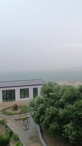A wide shot shows a modern white building with large windows, situated next to a lush green tree and overlooking a body of water under a foggy sky.