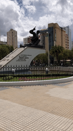Police detain individual during security operation in La Paz