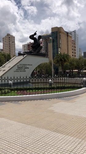 Police detain individual during security operation in La Paz