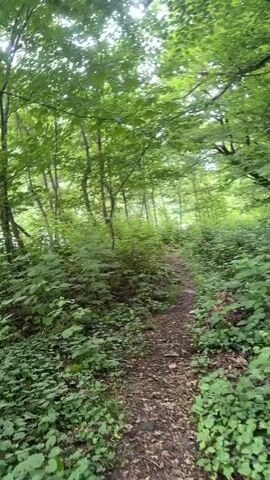 A first-person point-of-view video shows a dirt path through a dense forest. The path is narrow and covered with fallen leaves and small branches. Tall trees with lush green leaves line both sides of the path, creating a canopy overhead. Sunlight filters through the leaves, creating dappled light on the path. The undergrowth is thick with various plants and bushes. The camera moves forward, following the path deeper into the forest. The only sound is the ambient noise of the forest, including birds chirping and the rustling of leaves.