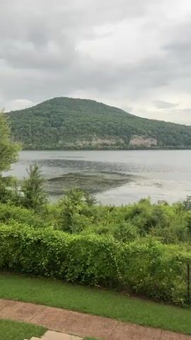 The video shows a serene landscape scene with a wide river or lake in the foreground, bordered by lush green vegetation. In the background, rolling hills covered in dense green trees rise up, with a dramatic cliff face visible on the slopes of one of the hills. The sky is overcast with grey clouds, creating a soft, diffused light over the scene. The water appears calm, with some patches of aquatic vegetation floating on the surface. The vegetation in the foreground consists of dense bushes and trees, with a manicured lawn and a brick path in the bottom portion of the frame. The video appears to be shot from a slightly elevated perspective, offering a panoramic view of the natural environment. There are no people or animals visible in the video. The overall impression is one of tranquility and natural beauty.