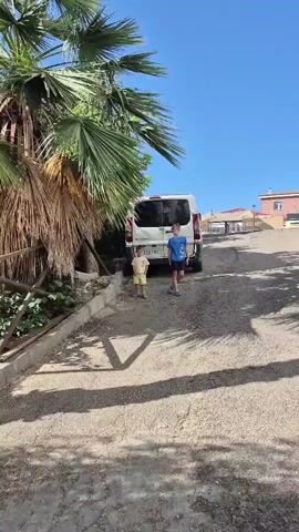 Two young boys are standing near a white van on a dirt road. The boy on the left is wearing a yellow shirt and shorts, and the boy on the right is wearing a blue shirt and dark shorts. They are positioned on a slight incline, with lush palm trees and other greenery surrounding them. The sky is clear and blue, indicating a sunny day. The camera pans up to show the tops of the palm trees and the sky.