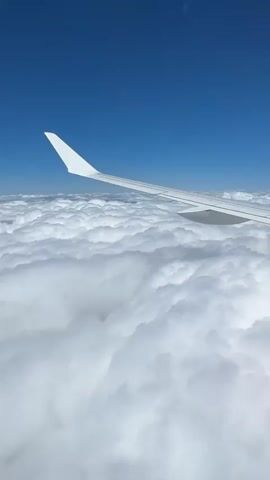 A view from an airplane window shows the white wing of the plane extending across the frame, pointing towards a clear blue sky above a vast expanse of white, puffy clouds. The camera angle is from inside the aircraft, looking outward.