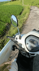 Scooter rider travels through Indonesian rice fields at night